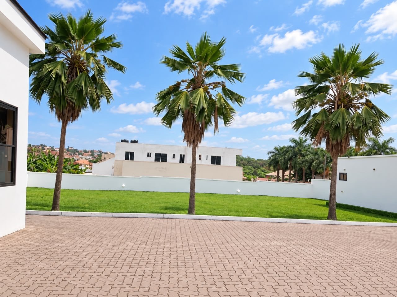 Palm trees and lawn beside the paved courtyard at Donna’s Place